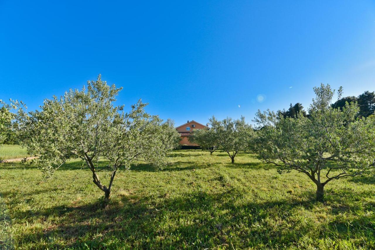 Holiday Home Taras Smilcic 외부 사진