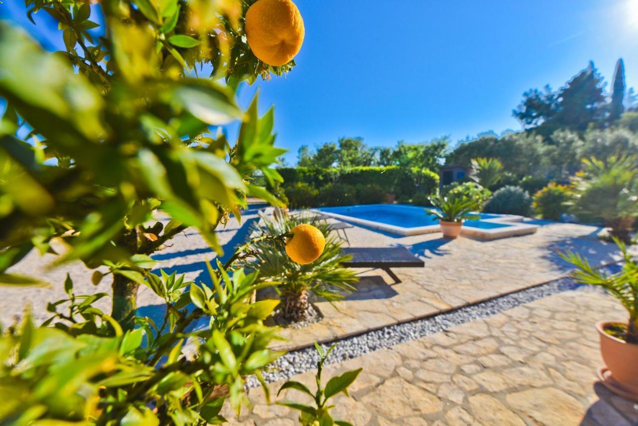 Holiday Home Taras Smilcic 외부 사진